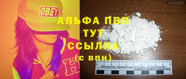 гашиш Богданович