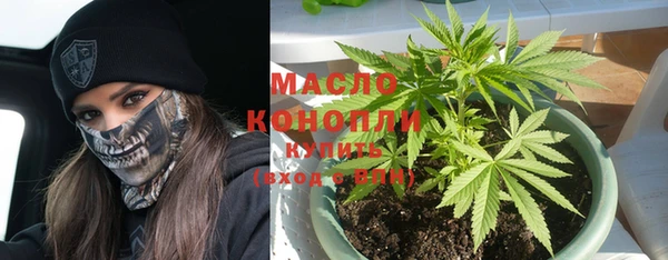 гашиш Богданович