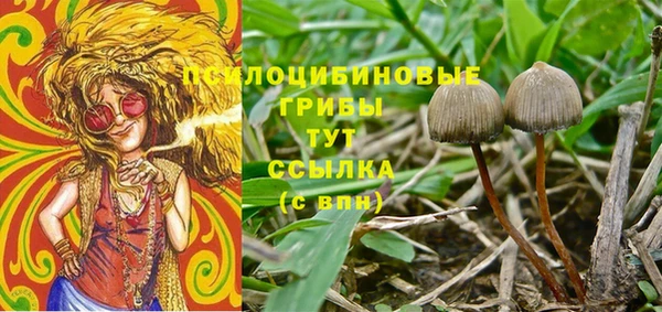 гашиш Богданович