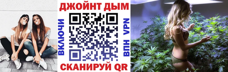 Шишки марихуана план  ОМГ ОМГ ONION  Иркутск 